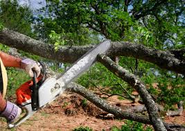 Mulching Services in Ferrysburg, MI