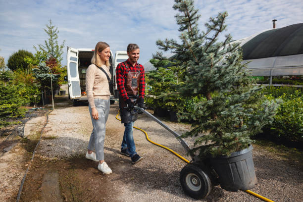 Best Tree and Shrub Care  in Ferrysburg, MI